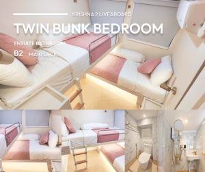 Krishna2 Standard Twin Bunk Room