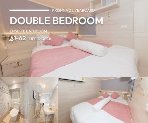 Krishna2 Deluxe Queen Room