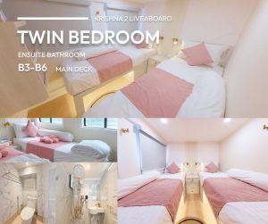 Krishna2 Standard Twin Room