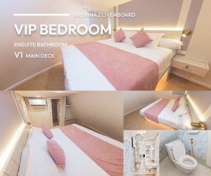 Krishna2 Master Room